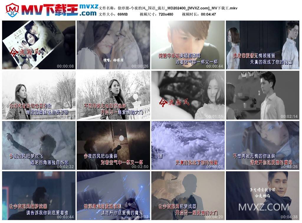 徐淳朋-今夜的风_国语_流行_MD202400